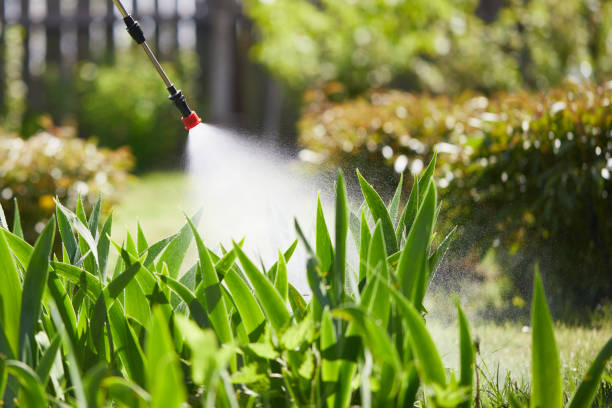 Tamper-Resistant Bait Stations for Rodents in Lake Hamilton