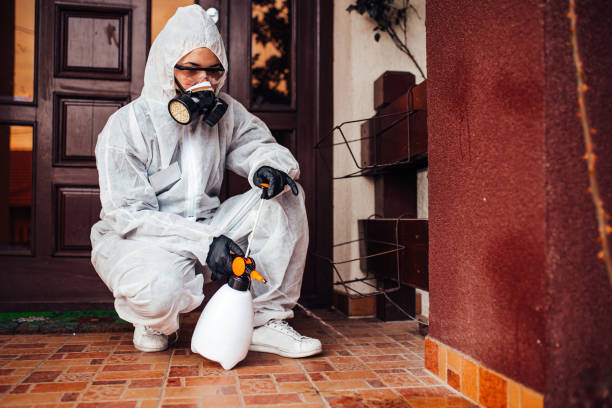 Attic and Crawl Space Rodent Treatment in Lake Hamilton